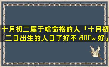十月初二属于啥命格的人「十月初二日出生的人日子好不 🌻 好」